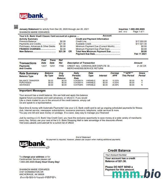 USA U. S. Bank karta kredytowa statement template in Excel and PDF file format